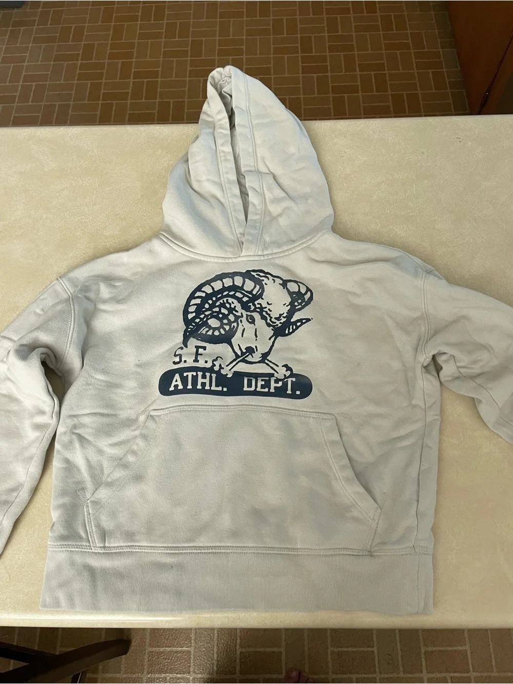 GAP White Hoodie with Navy Ram Graphic